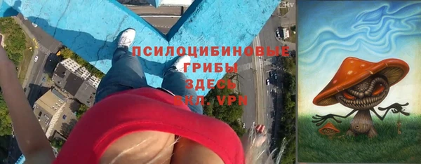 дживик Михайлов